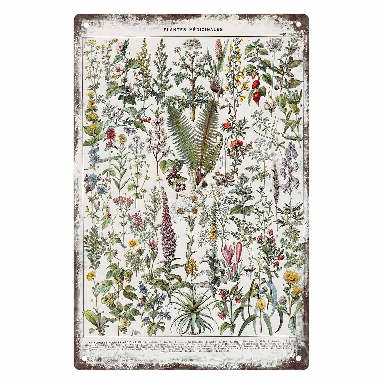Home Office With Plants - 2D FLAT 1 Buah Dekorasi Poster