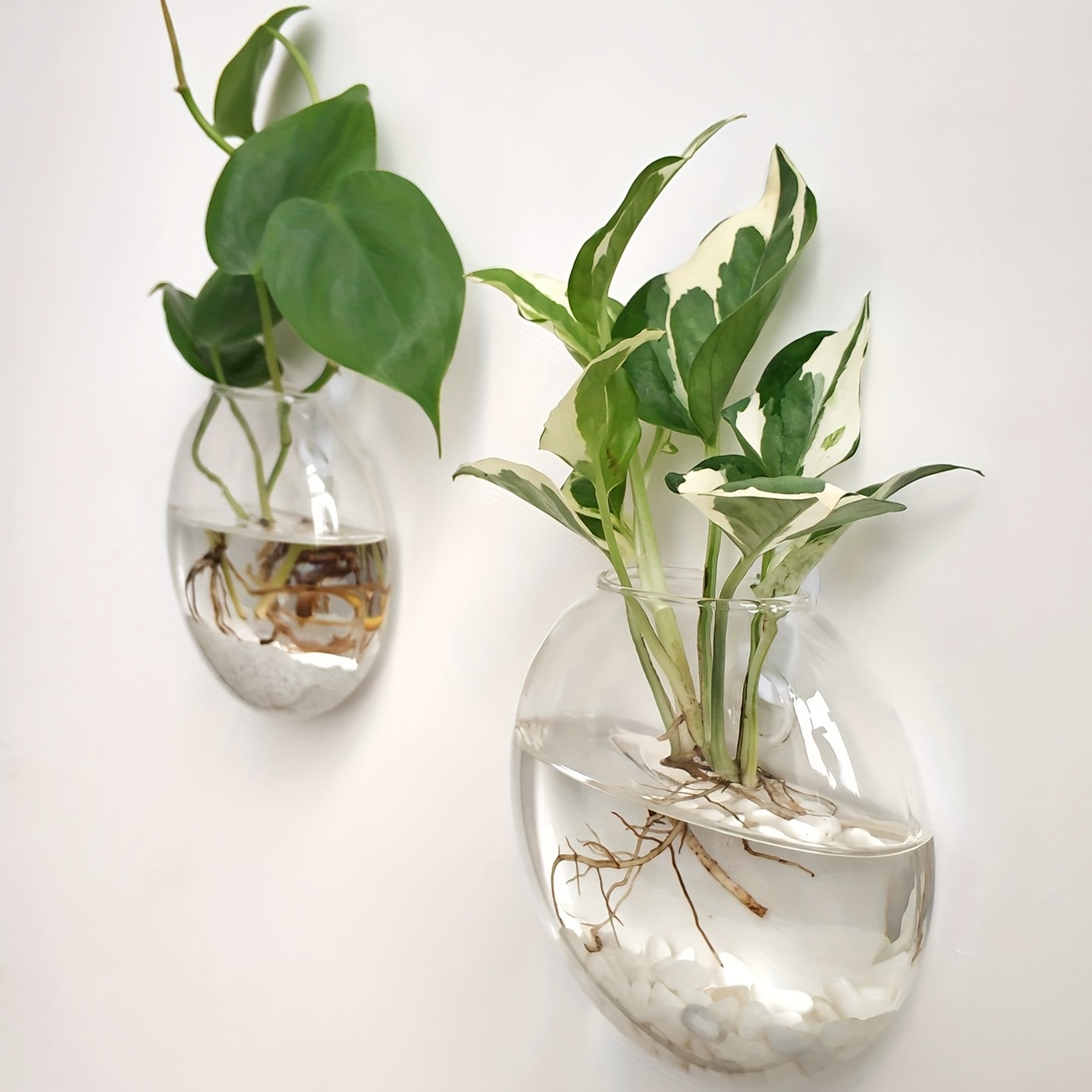 Home Office Form - Vas pot bunga terarium, hiasan dinding