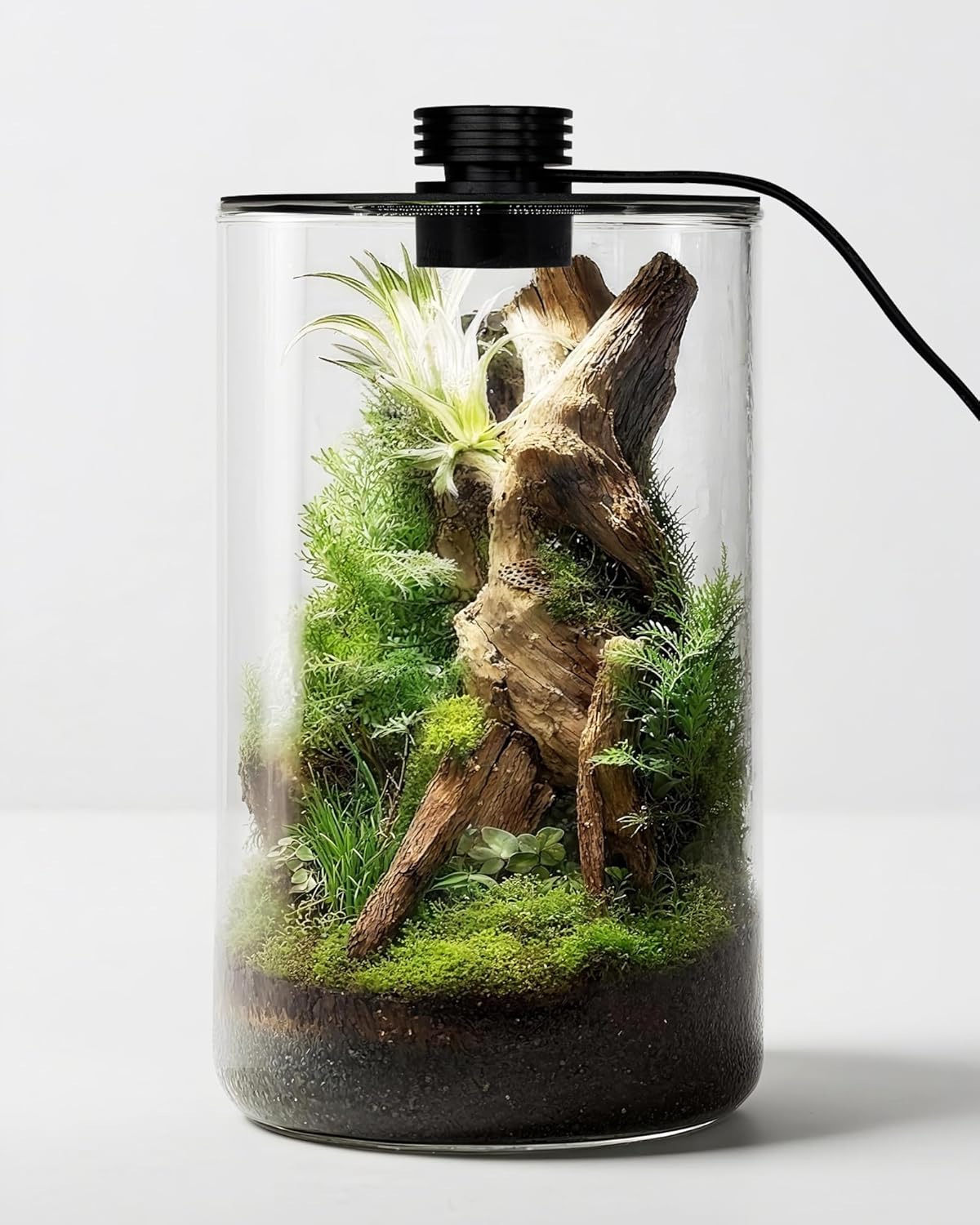 Home Office With Plants - Terarium Kaca Dalam Ruangan dengan Lampu