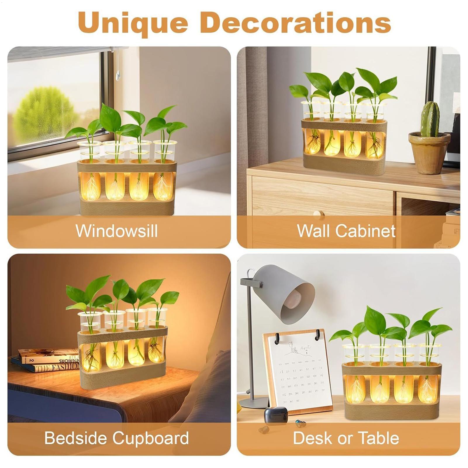 Stasiun Perbanyakan Tanaman LE - Home Office With Plants ulasan dan harga