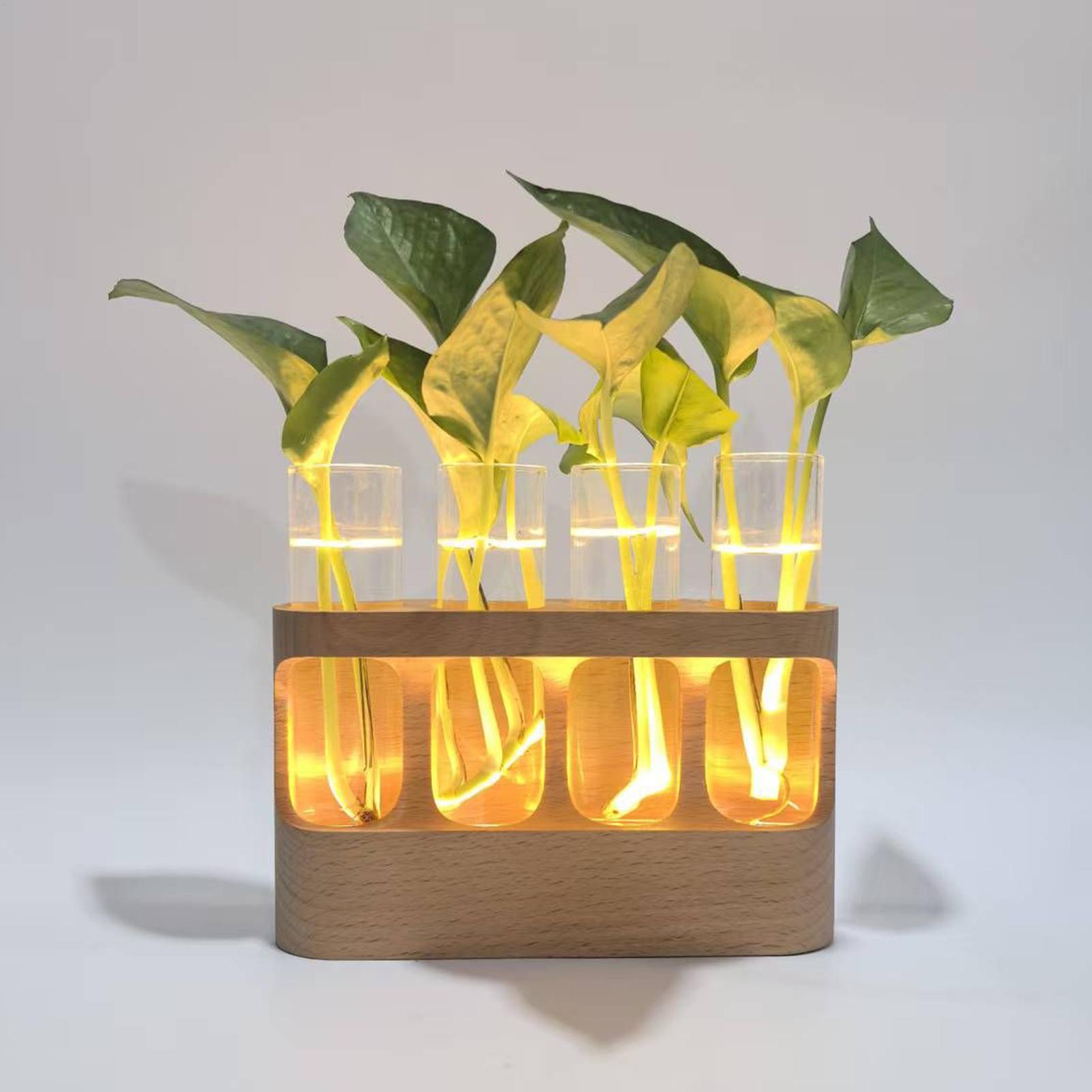 Stasiun Perbanyakan Tanaman LE - Home Office With Plants ulasan dan harga