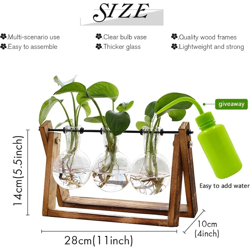 Kit Terarium Tanaman Hidroponi - Home Office With Plants ulasan dan harga