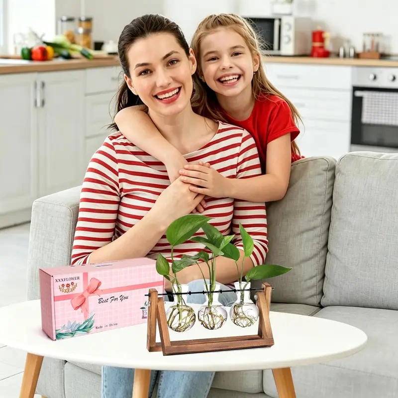 Kit Terarium Tanaman Hidroponi - Home Office With Plants ulasan dan harga