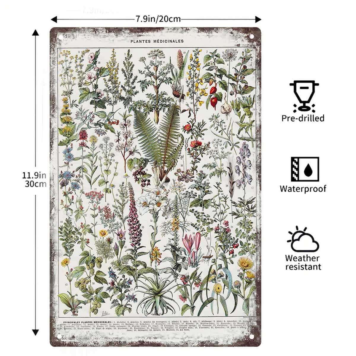 2D FLAT 1 Buah Dekorasi Poster - Home Office With Plants ulasan dan harga