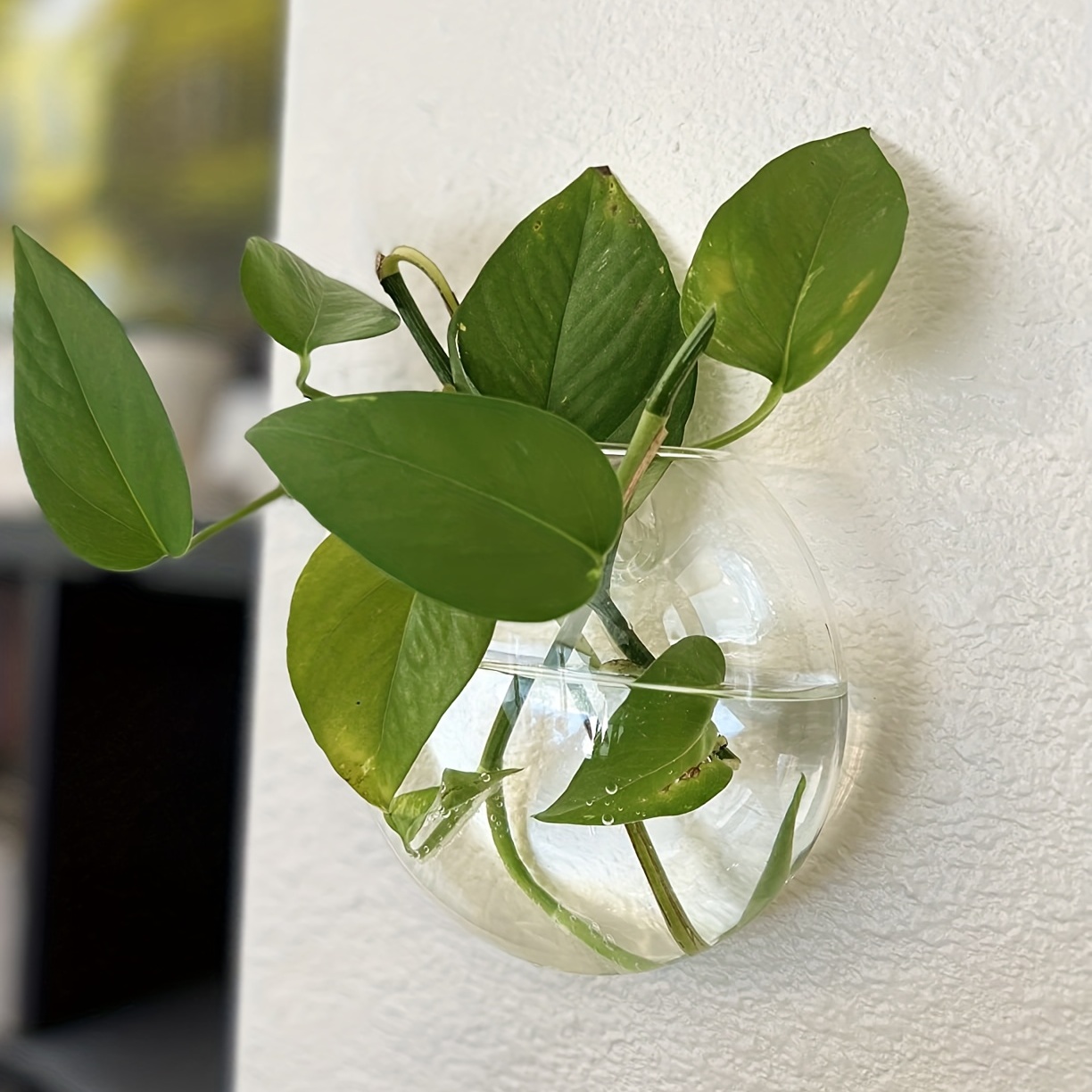 Vas pot bunga terarium, hiasan - Home Office Form ulasan dan harga