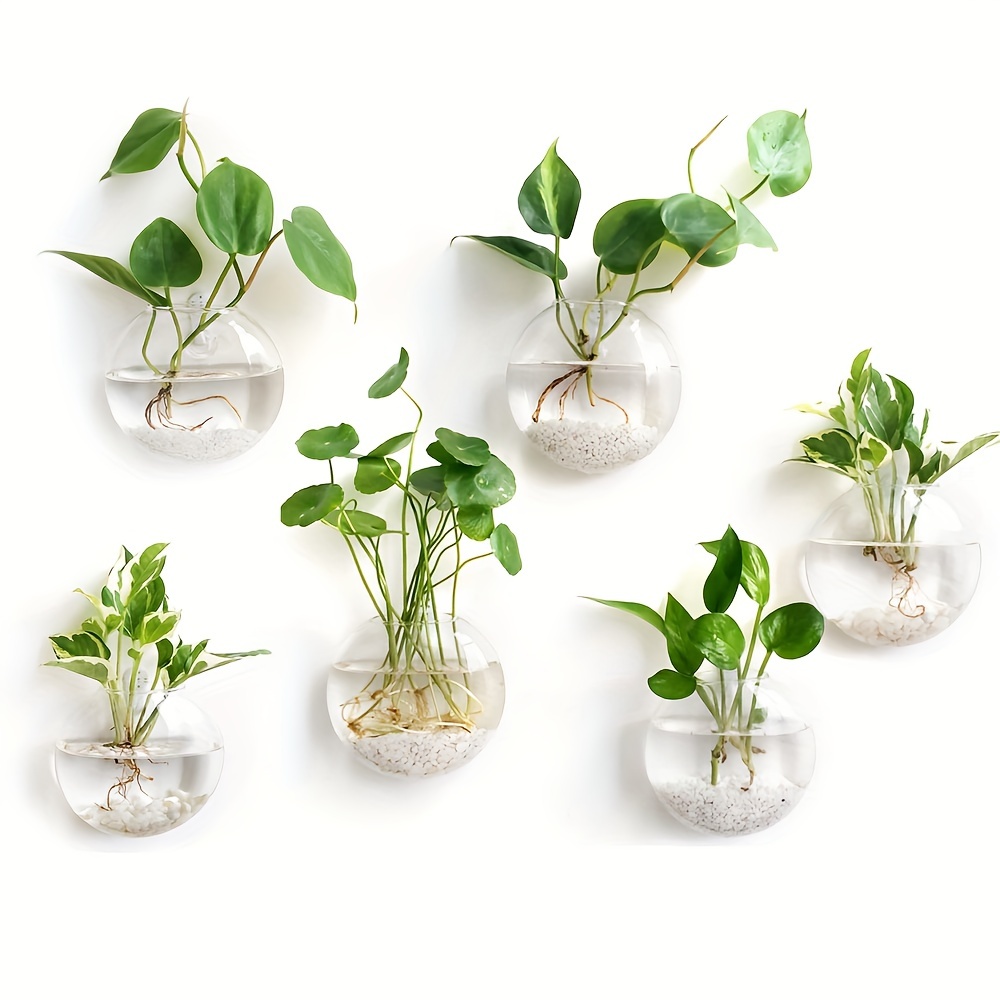 Vas pot bunga terarium, hiasan - Home Office Form ulasan dan harga