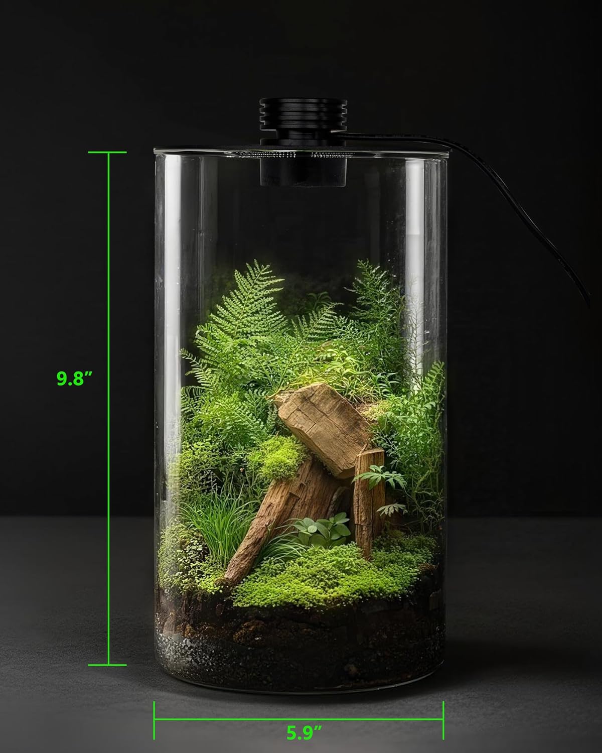 Terarium Kaca Dalam Ruangan de - Home Office With Plants ulasan dan harga