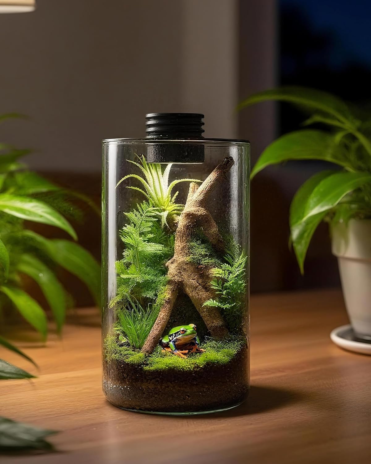 Terarium Kaca Dalam Ruangan de - Home Office With Plants ulasan dan harga